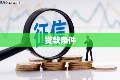 华龙贷款条件