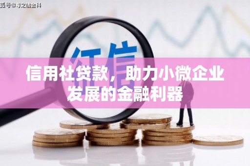 华龙信用社贷款，助力小微企业发展的金融利器