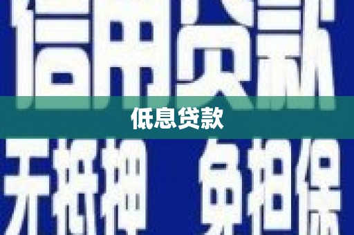 华龙低息贷款