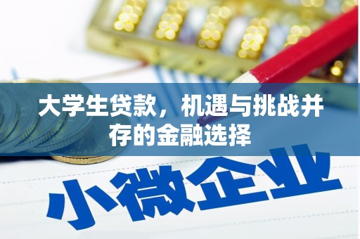 华龙大学生贷款，机遇与挑战并存的金融选择