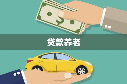 华龙贷款养老