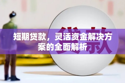 华龙短期贷款，灵活资金解决方案的全面解析