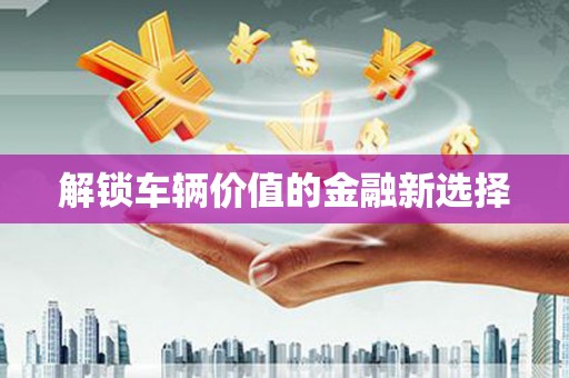 华龙解锁车辆价值的金融新选择