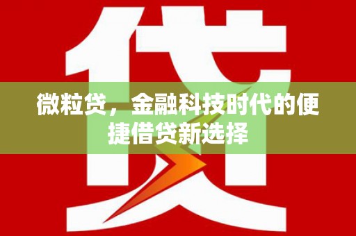 华龙微粒贷，金融科技时代的便捷借贷新选择