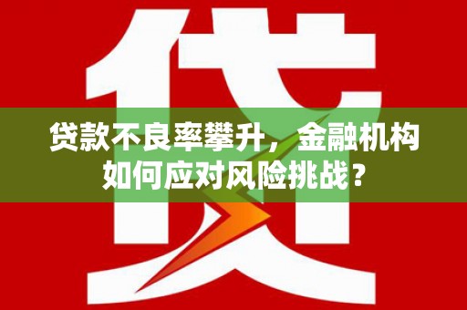 华龙贷款不良率攀升，金融机构如何应对风险挑战？