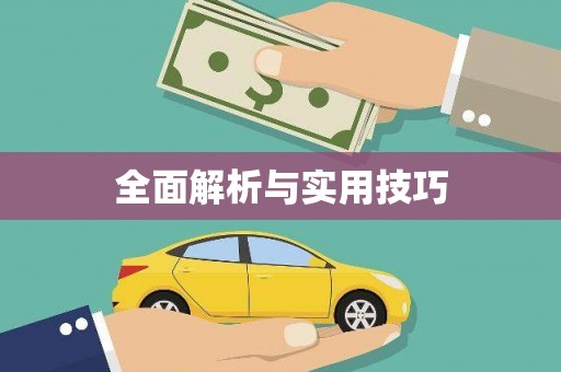 华龙全面解析与实用技巧