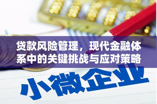 华龙贷款风险管理，现代金融体系中的关键挑战与应对策略