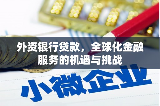 华龙外资银行贷款，全球化金融服务的机遇与挑战