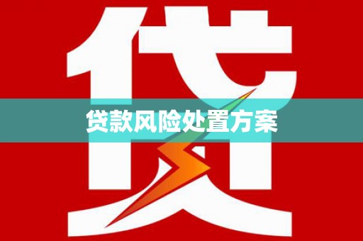 华龙贷款风险处置方案