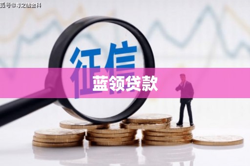 华龙蓝领贷款