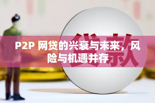 华龙P2P 网贷的兴衰与未来，风险与机遇并存