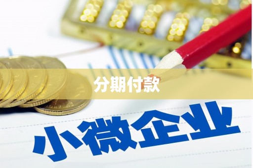 华龙分期付款