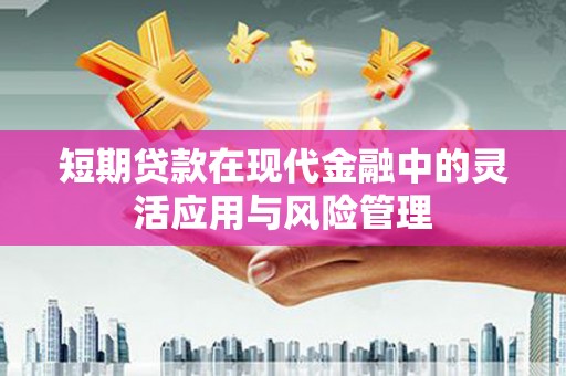 华龙短期贷款在现代金融中的灵活应用与风险管理
