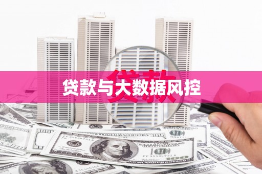 华龙贷款与大数据风控
