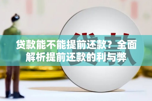 华龙贷款能不能提前还款？全面解析提前还款的利与弊