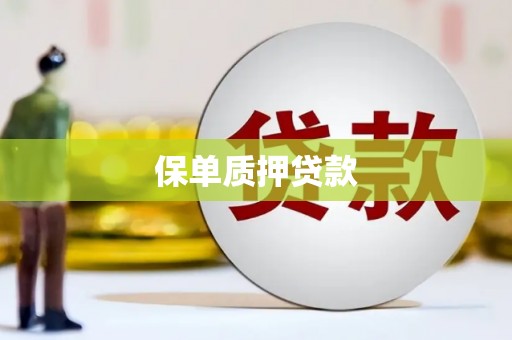 华龙保单质押贷款
