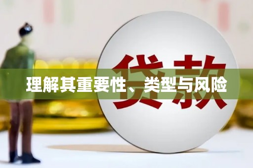 华龙理解其重要性、类型与风险
