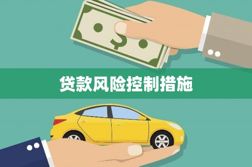 华龙贷款风险控制措施