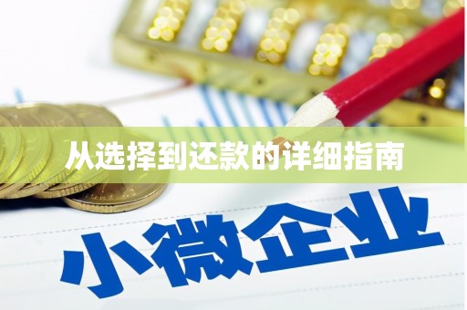 华龙从选择到还款的详细指南