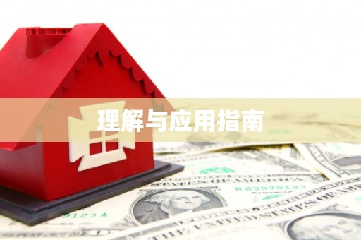 华龙理解与应用指南