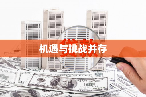 华龙机遇与挑战并存 华龙机遇与挑战并存