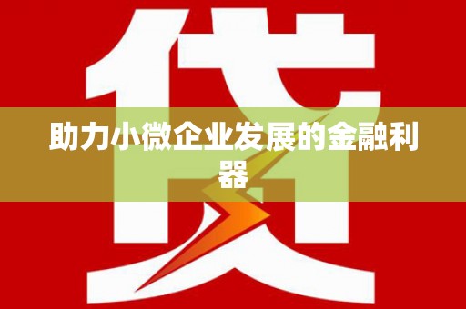 华龙助力小微企业发展的金融利器