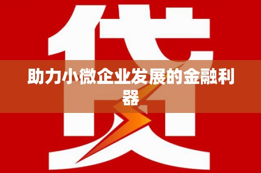 华龙助力小微企业发展的金融利器