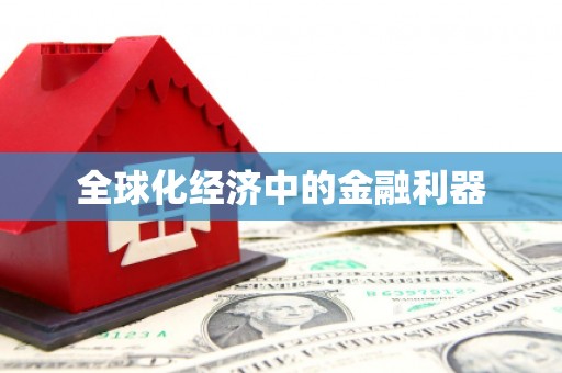 华龙全球化经济中的金融利器