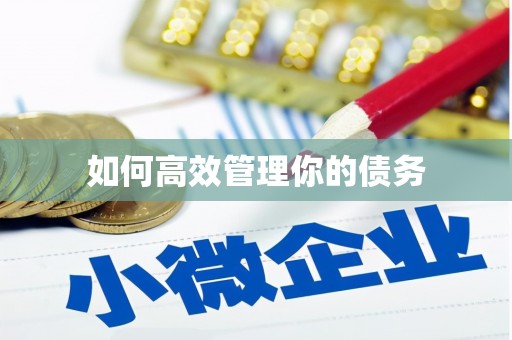 华龙如何高效管理你的债务