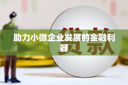 华龙助力小微企业发展的金融利器