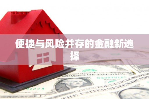 华龙便捷与风险并存的金融新选择