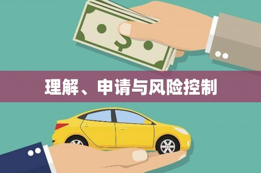 华龙理解、申请与风险控制
