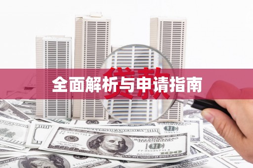 华龙全面解析与申请指南