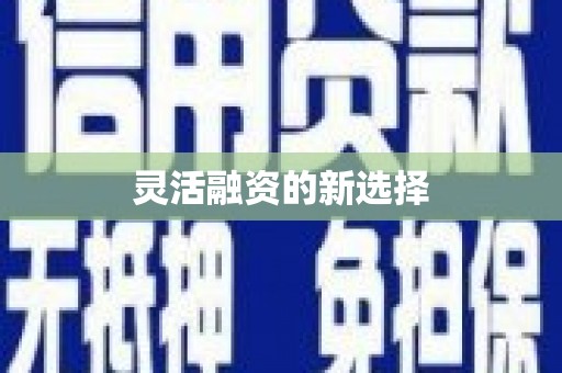 华龙灵活融资的新选择