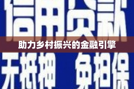 华龙助力乡村振兴的金融引擎