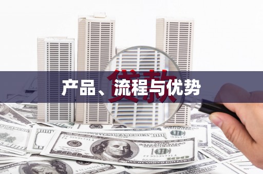 华龙产品、流程与优势