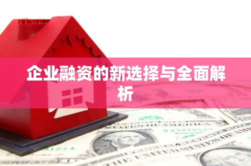 华龙企业融资的新选择与全面解析