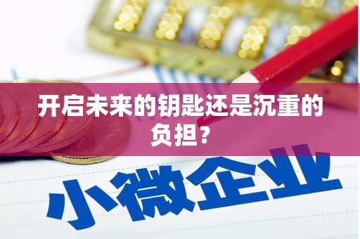 华龙开启未来的钥匙还是沉重的负担？