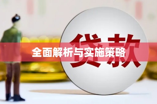 华龙全面解析与实施策略