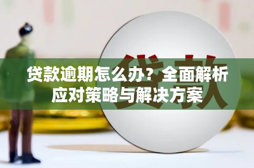 华龙贷款逾期怎么办？全面解析应对策略与解决方案