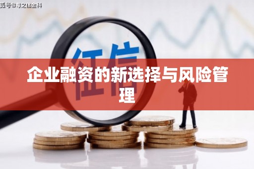 华龙企业融资的新选择与风险管理
