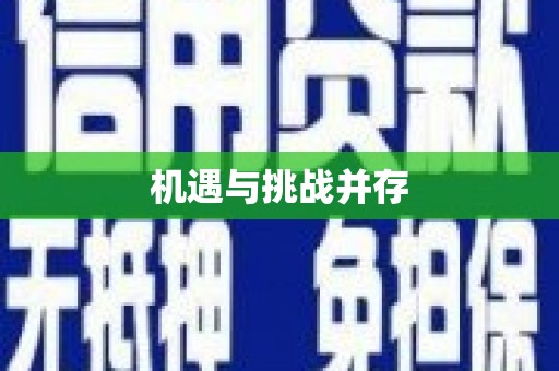华龙机遇与挑战并存