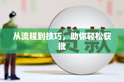 华龙从流程到技巧，助你轻松获批