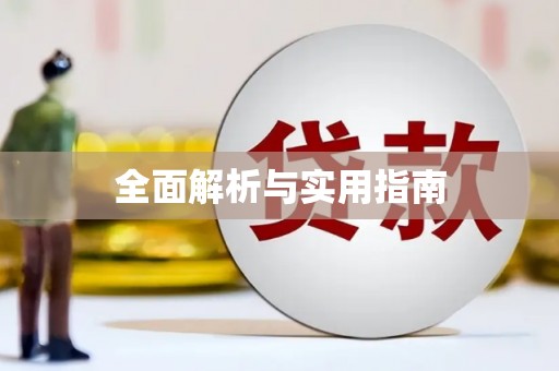 华龙全面解析与实用指南