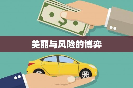 华龙美丽与风险的博弈