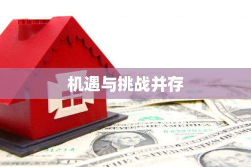 华龙机遇与挑战并存