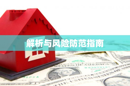 华龙解析与风险防范指南