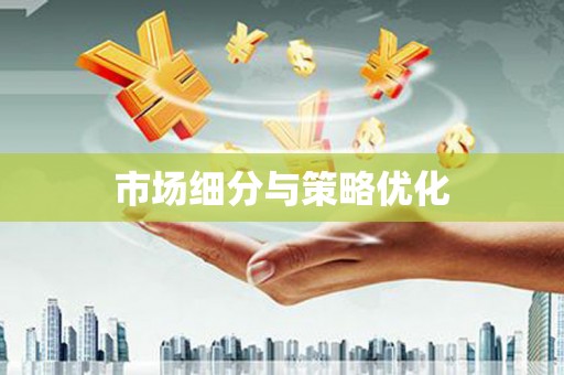 华龙市场细分与策略优化