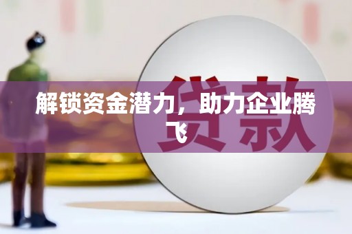 华龙解锁资金潜力，助力企业腾飞