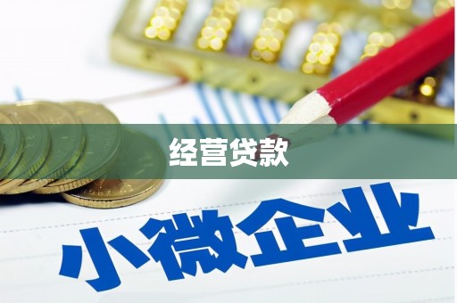 华龙经营贷款